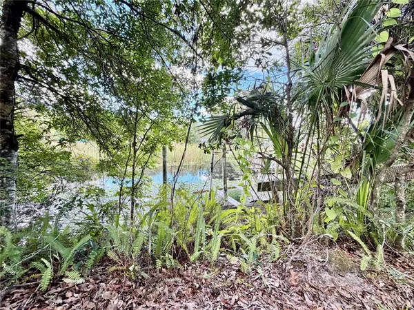 6464 ARBUTUS AVE, Weeki Wachee, FL 34607