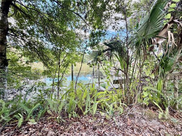 6464 ARBUTUS AVE, Weeki Wachee, FL 34607
