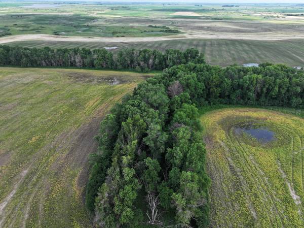 6533 102nd ST NE #6533, Rocklake, ND 58365