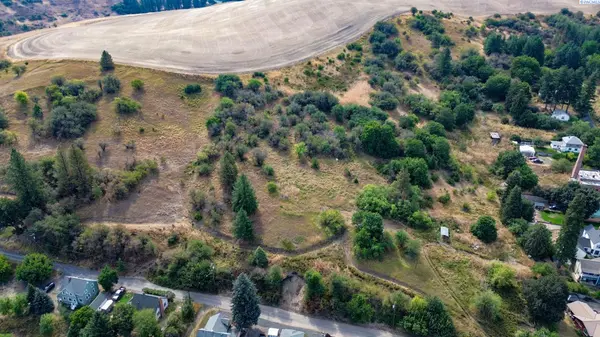 TBD Fairview, Colfax, WA 99111-0000