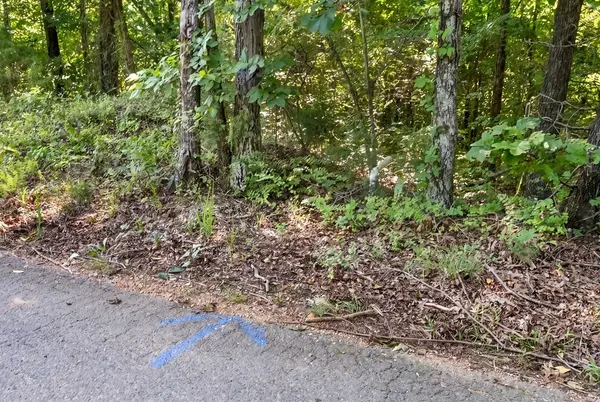 0 Hamilton Rd, Springville, TN 38256