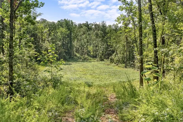 0 Hamilton Rd, Springville, TN 38256