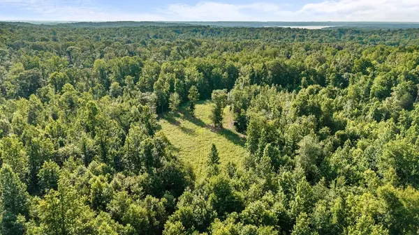 0 Hamilton Rd, Springville, TN 38256