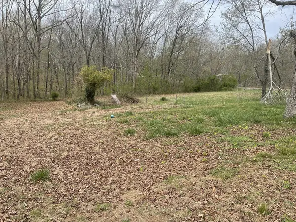 318 Highway 20, Summertown, TN 38483