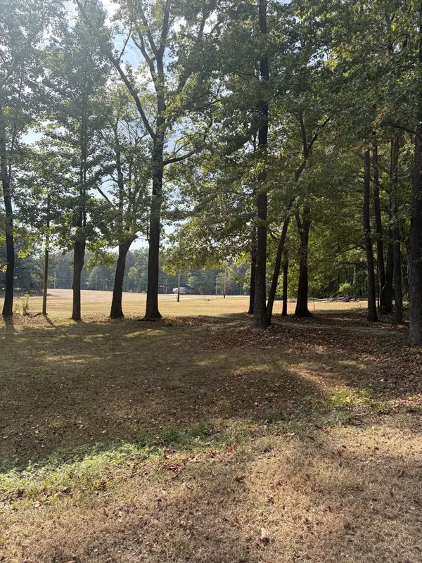 920 Elizabeth Lane, Savannah, TN 38372