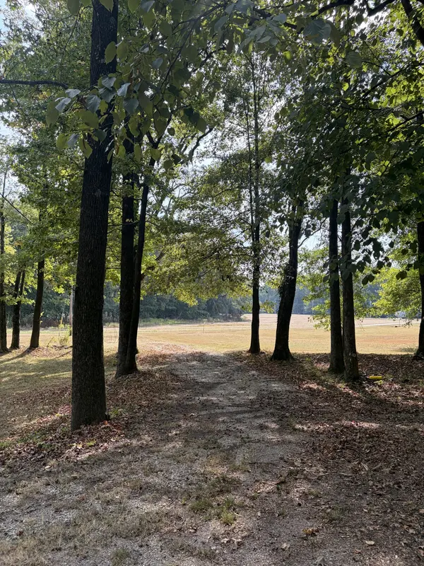 920 Elizabeth Lane, Savannah, TN 38372
