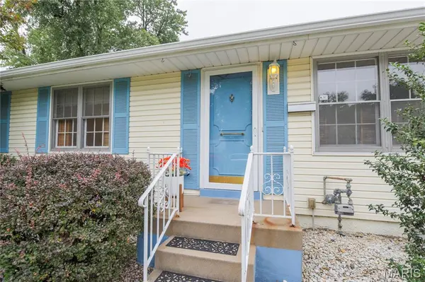 10441 Ewell DR, St Louis, MO 63137