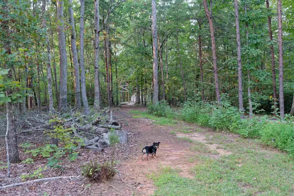 700 N Trade   (C) AVE, Landrum, SC 29356