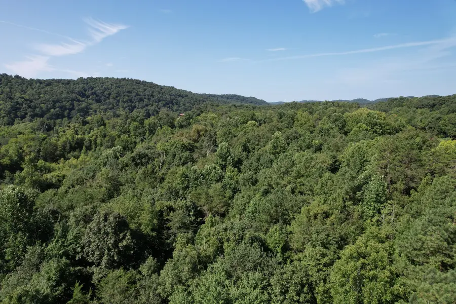 121 Frank Reed Rd, Spring City, TN 37381