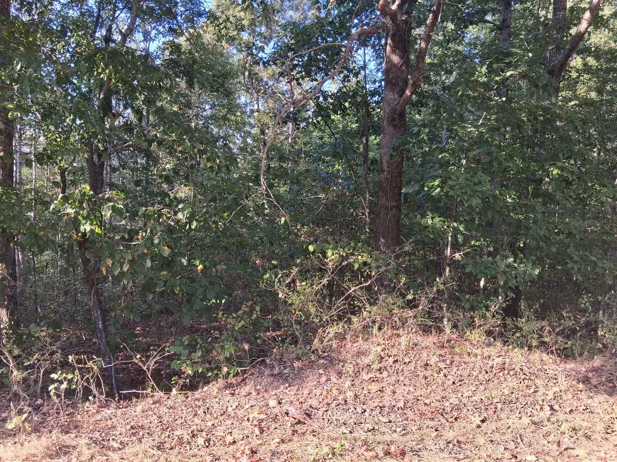 6080 Halls Creek Rd, Waverly, TN 37185