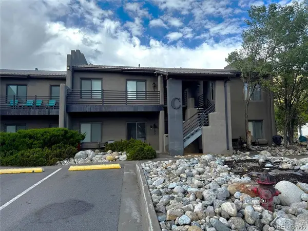 623 Cedar #C-C 203, Buena Vista, CO 81211