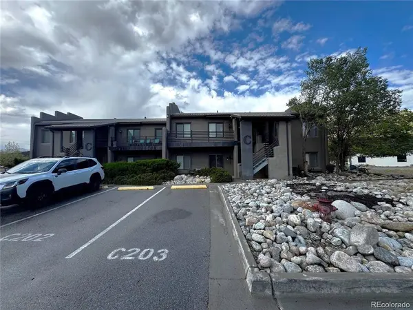 623 Cedar #C-C 203, Buena Vista, CO 81211