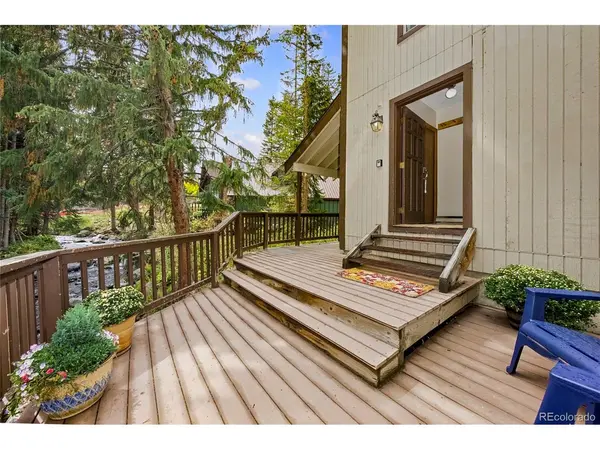 500 Vasquez ##1, Winter Park, CO 80482
