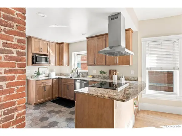 1462 S Grant, Denver, CO 80210