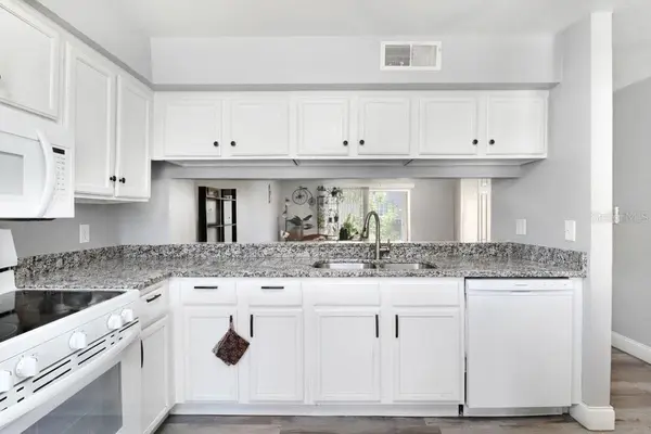 5236 SUNRIDGE PALMS DR #5236, Tampa, FL 33617
