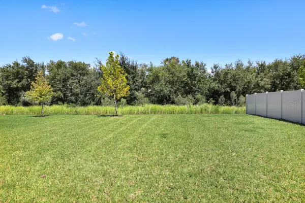 13034 WELLSPRING DR, Lithia, FL 33547