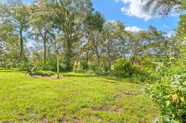 10430 RAMBLE RIDGE CT, Weeki Wachee, FL, 34613 photo 57