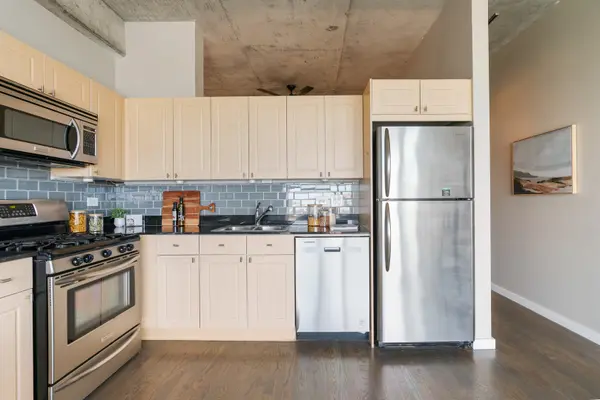 1620 S Michigan AVE #919, Chicago, IL 60616
