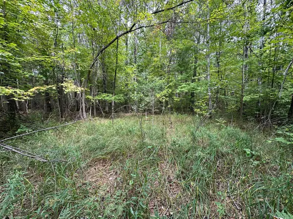 TBD W Fork RD, Sandstone, MN 55072