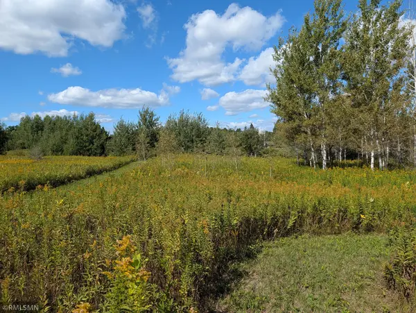 2547 County Road 103, Barnum, MN 55707