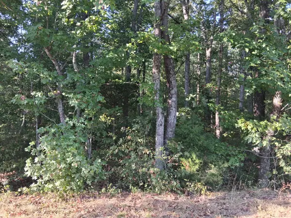 6080 Halls Creek Rd, Waverly, TN 37185