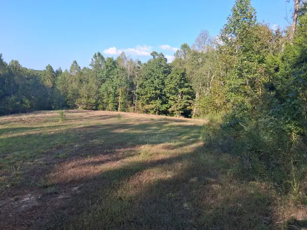 6080 Halls Creek Rd, Waverly, TN 37185
