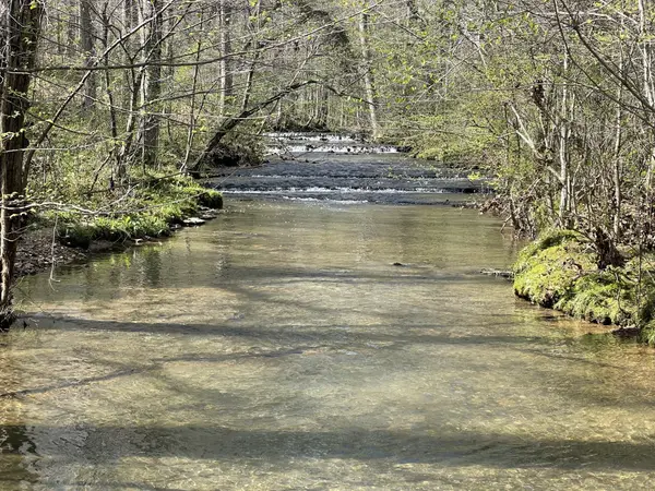290 Prokesh Rd, Leoma, TN 38468