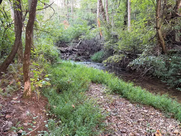 V/L Vein Mountain RD, Nebo, NC 28761