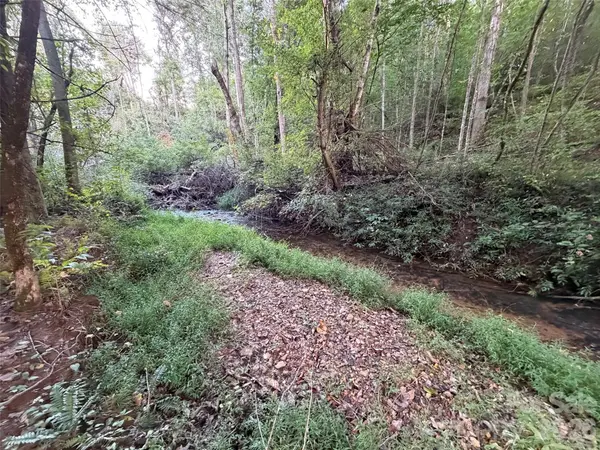 V/L Vein Mountain RD, Nebo, NC 28761
