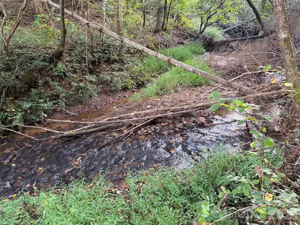 V/L Vein Mountain RD, Nebo, NC 28761