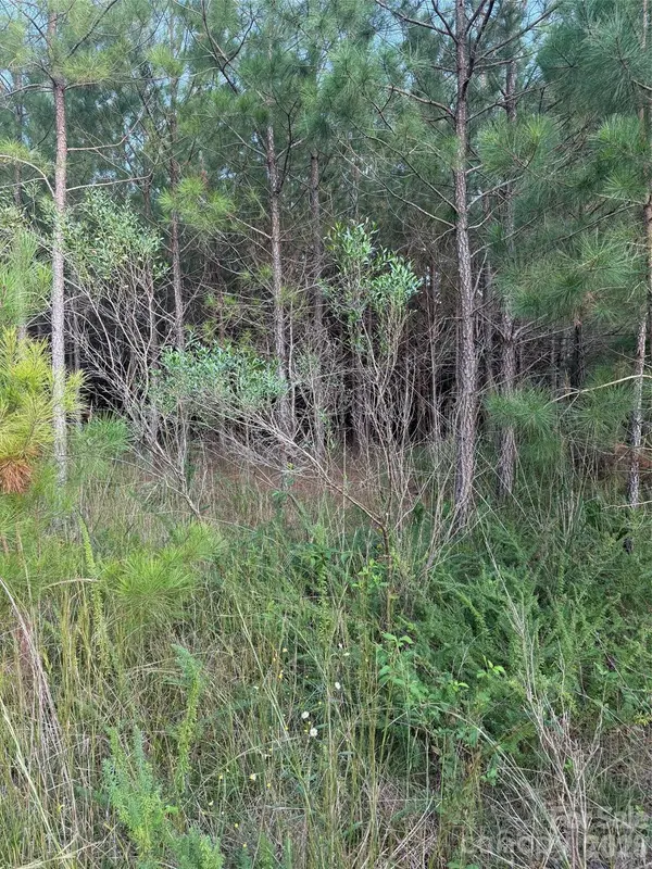 00 Pleasant Grove Church RD, Wadesboro, NC 28170