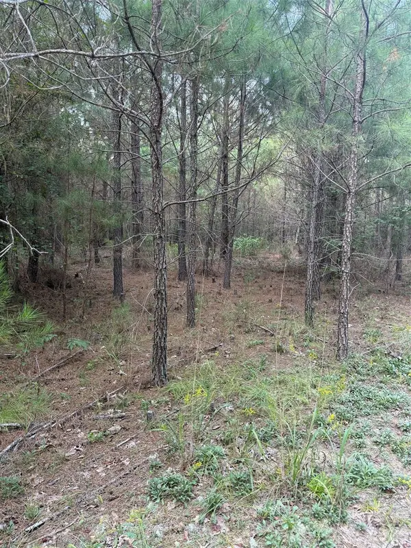 00 Pleasant Grove Church RD, Wadesboro, NC 28170
