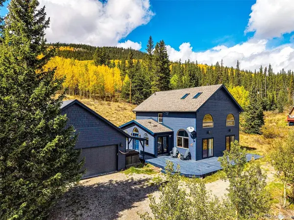 1881 River, Alma, CO 80420
