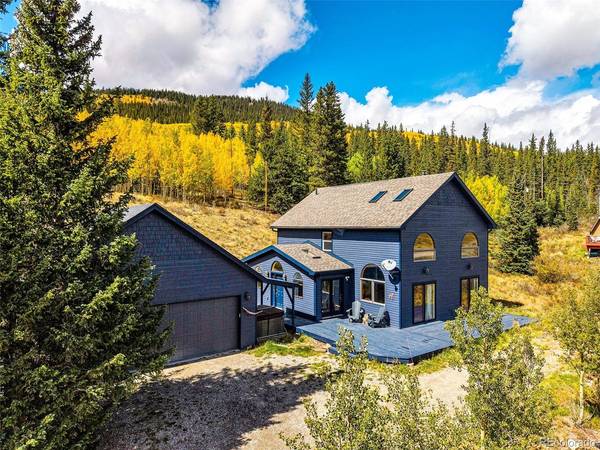 1881 River, Alma, CO 80420