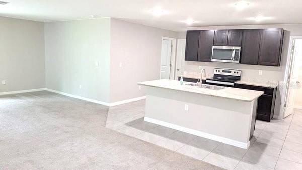 13667 WHISKEY DAISY DR, Dade City, FL 33525