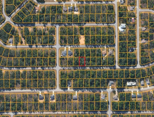 1602 W HIALEAH DR, Citrus Springs, FL 34434