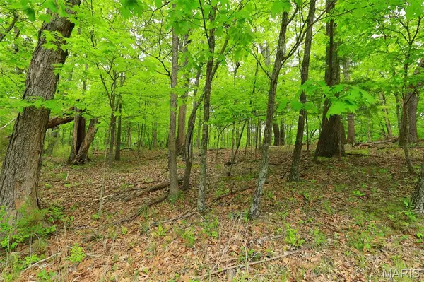 782 Village Green DR, Marthasville, MO 63357