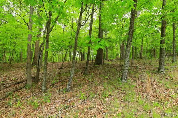 782 Village Green DR, Marthasville, MO 63357