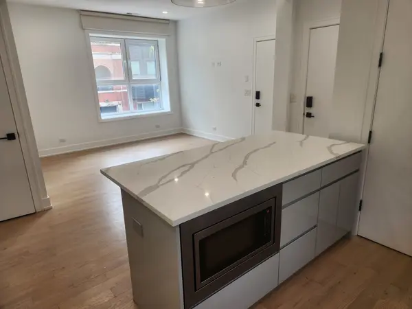 2202 W Race AVE #2E, Chicago, IL 60612