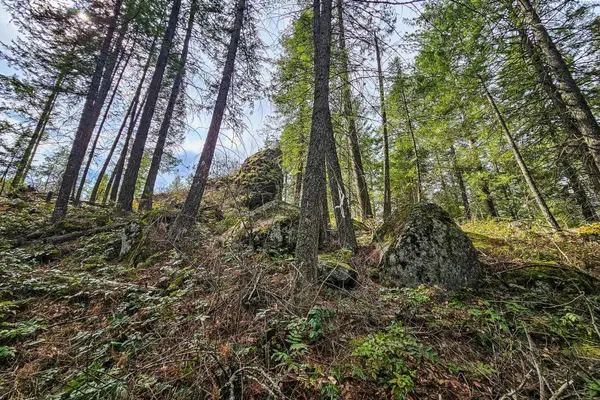 NKA E Deer Park Milan Rd, Other, WA 99003