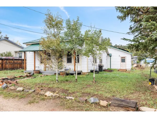 147 E 1st, Nederland, CO 80466