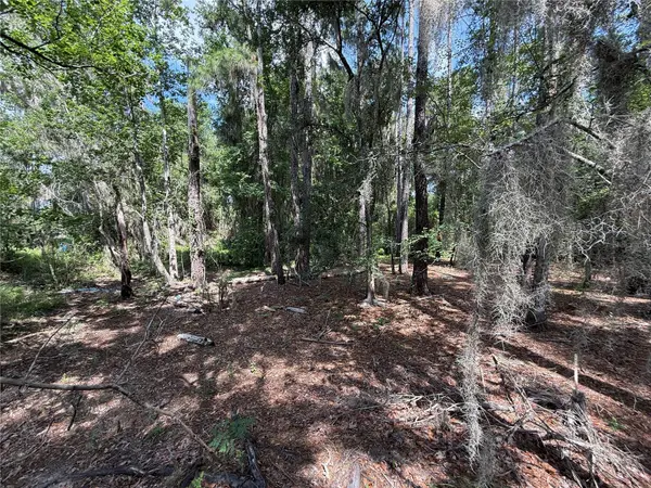SW 38 TER, Gainesville, FL 32608