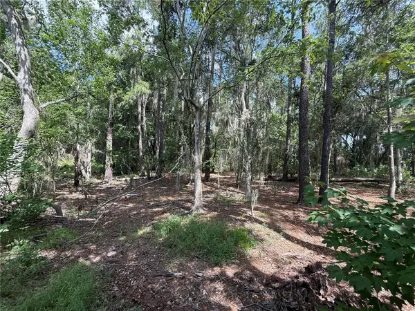 SW 38 TER, Gainesville, FL 32608