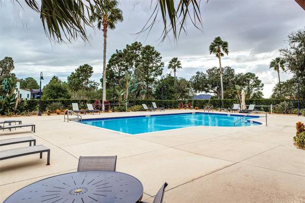 133 CALADIUM AVE, Lake Alfred, FL, 33850 photo 42