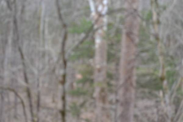 0 Rock Fish Lane, Hilham, TN 38568