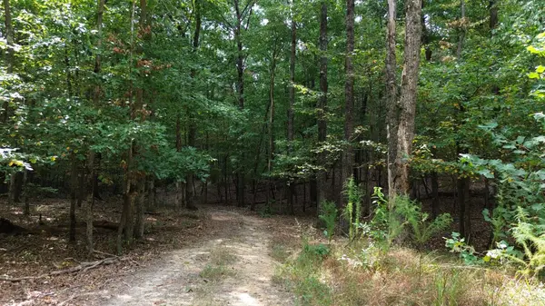0 Water View Ln, Monteagle, TN 37356