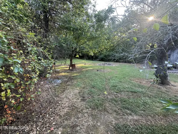 835 Vowell Mountain Lane, Rocky Top, TN 37769
