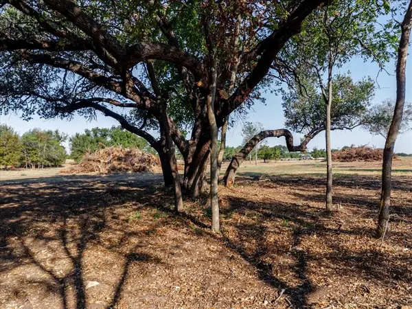 2768 Live Oak Road, Santo, TX 76472