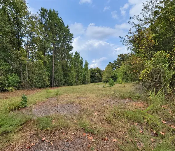 0 Ferguson Road, Harleton, TX 75651