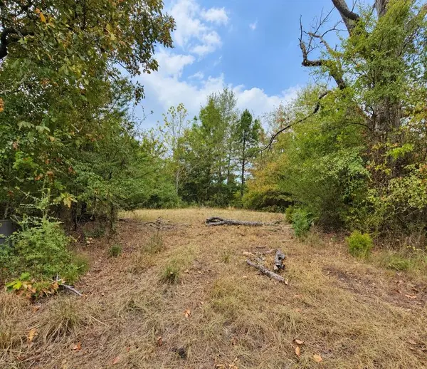 0 Ferguson Road, Harleton, TX 75651